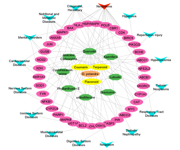 Graphical Abstract